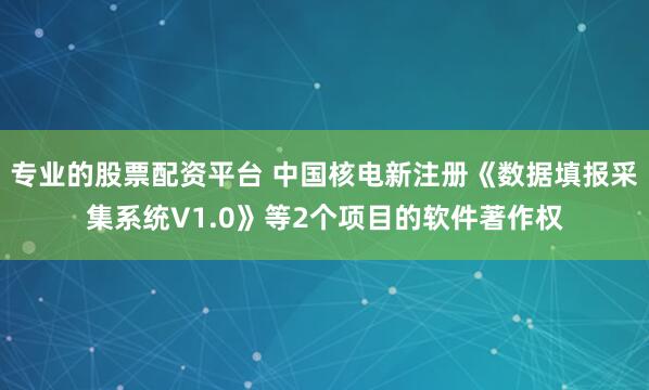 专业的股票配资平台 中国核电新注册《数据填报采集系统V1.0》等2个项目的软件著作权
